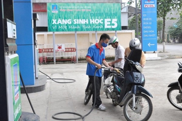 Xe 4 bánh có mặn mà với xăng sinh học?