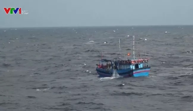 TIN TỨC MỚI - Tiếp tục tìm kiếm 9 ngư dân mất tích trên biển Hải Phòng