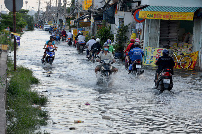 TIN TỨC MỚI - Nhiều nguy cơ bệnh tật do triều cường kéo dài