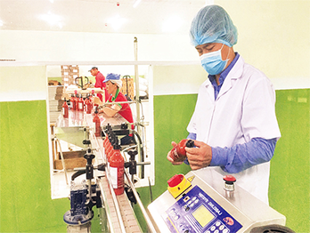 Những ngành công nghiệp sản xuất đang dần phục hồi