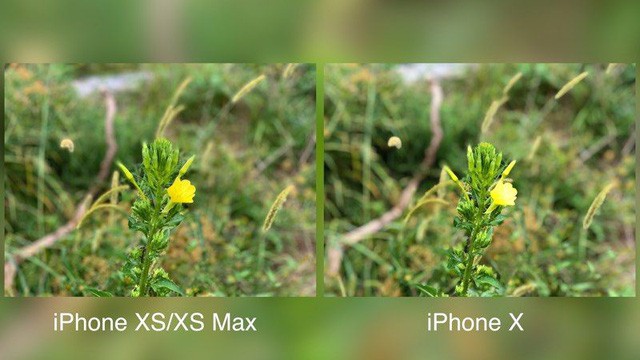 anh-chup-tren-iPhone-XS-khac-the-nao-so-voi-iPhone-X-1.jpg