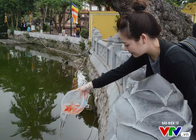 ly-giai-nghi-thuc-phong-sinh-vao-ram-thang-7-am-lich.jpg